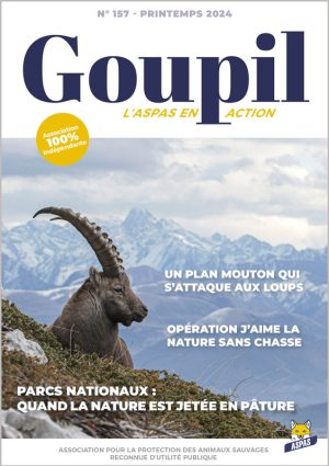 Goupil157-COUV-web